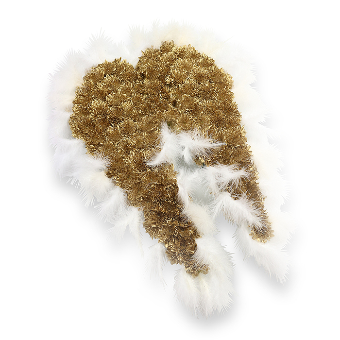 GOLD ANGEL WINGS 1